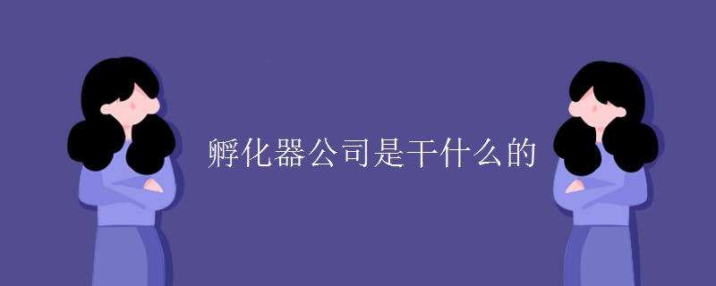 孵化器公司是干什么的（组图）