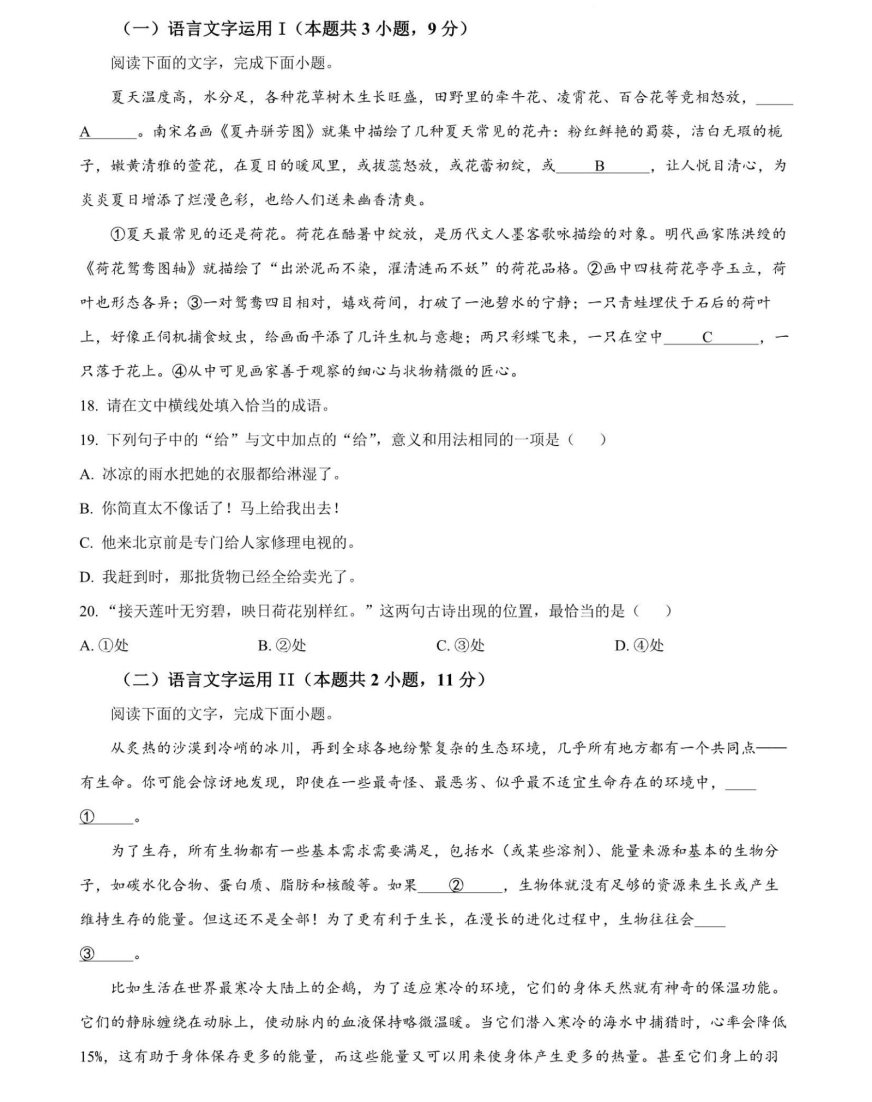 九省联考2024年语文试题及答案解析