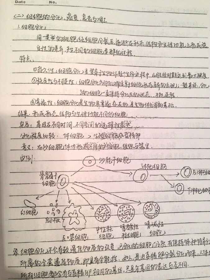 中学生物教育随笔