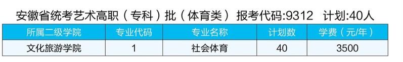 2023安徽国际商务职业学院各省招生计划及招生人数 具体招哪些专业