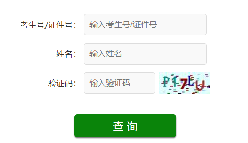 2023山東成人高考查分入口