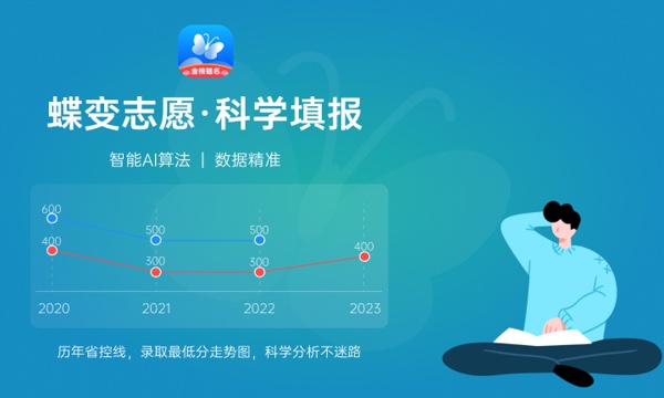 2024国际商务专业就业方向 有什么出路