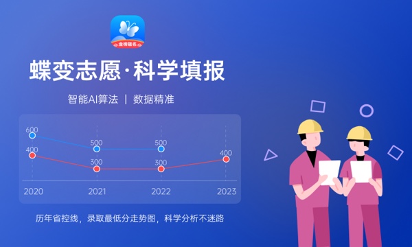 2024专业代码在哪里查询 有什么作用