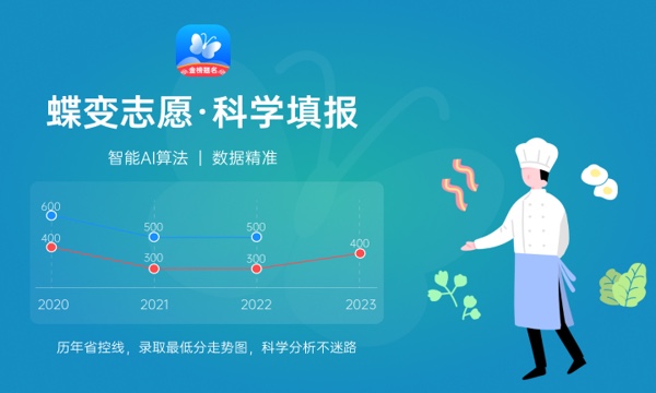 2024艺术生可以报考的学校 哪些大学比较好