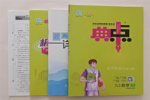 初中数学最好的刷题书 学霸必备教辅书