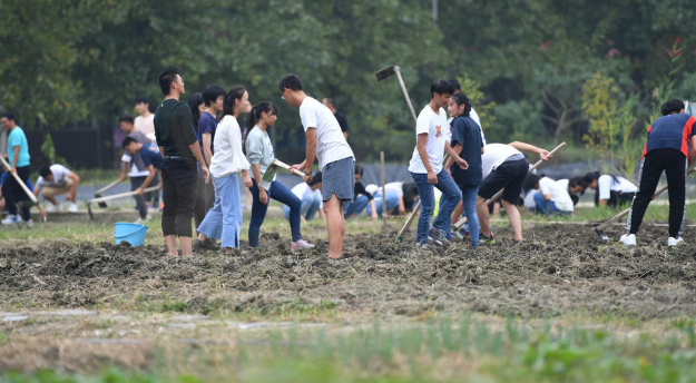 四川高校开学第一课：下地干农活