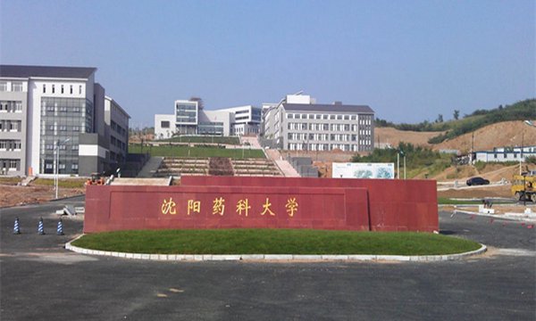 沈阳药科大学是211大学?还是985大学?