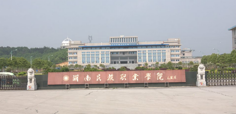 岳阳有哪些专科学校